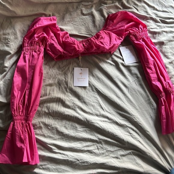 Alamour pink ruffled crop top - Picture 8 of 11